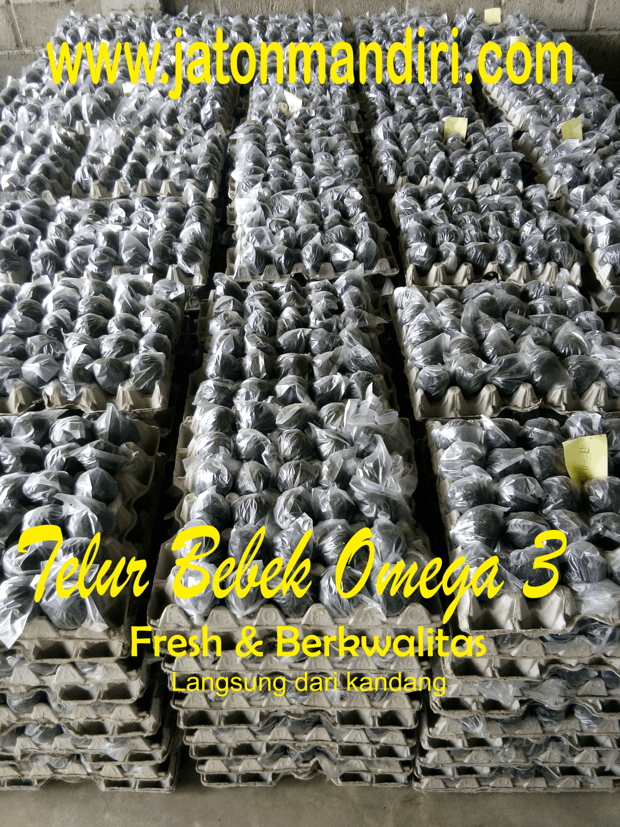 Telur Blitar, Telur Asin, Telur Bebek, Telur Jaton, Jaton Mandiri www.jatonmandiri.comn, Jaton Mandiri