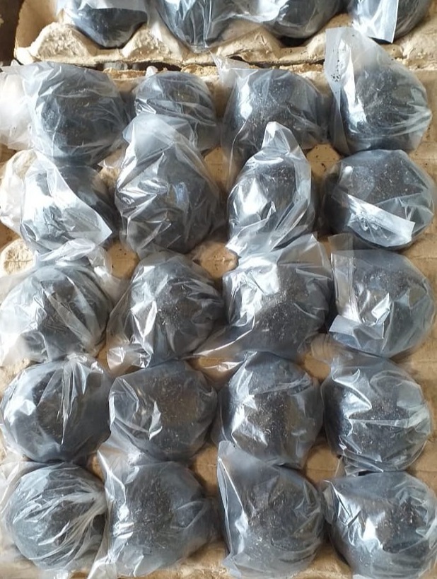 Telur Blitar, Telur Asin, Telur Bebek, Telur Jaton, Jaton Mandiri www.jatonmandiri.com