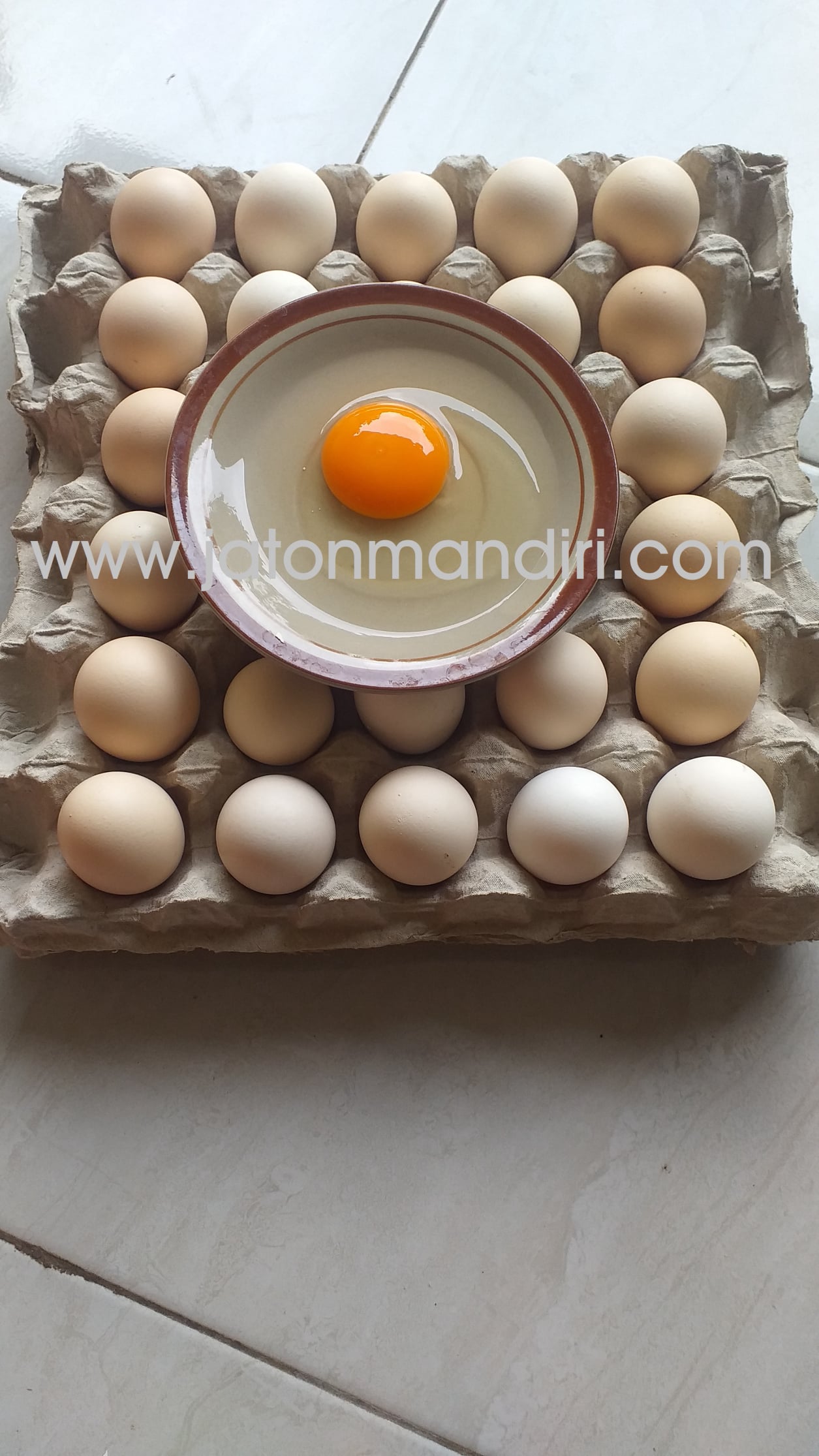 Telur Kampung Omega3, Telur Jaton
