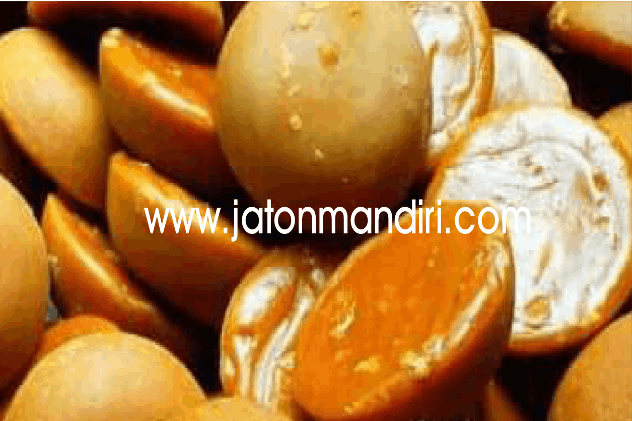 Jaton Mandiri | Jato Gula Merah