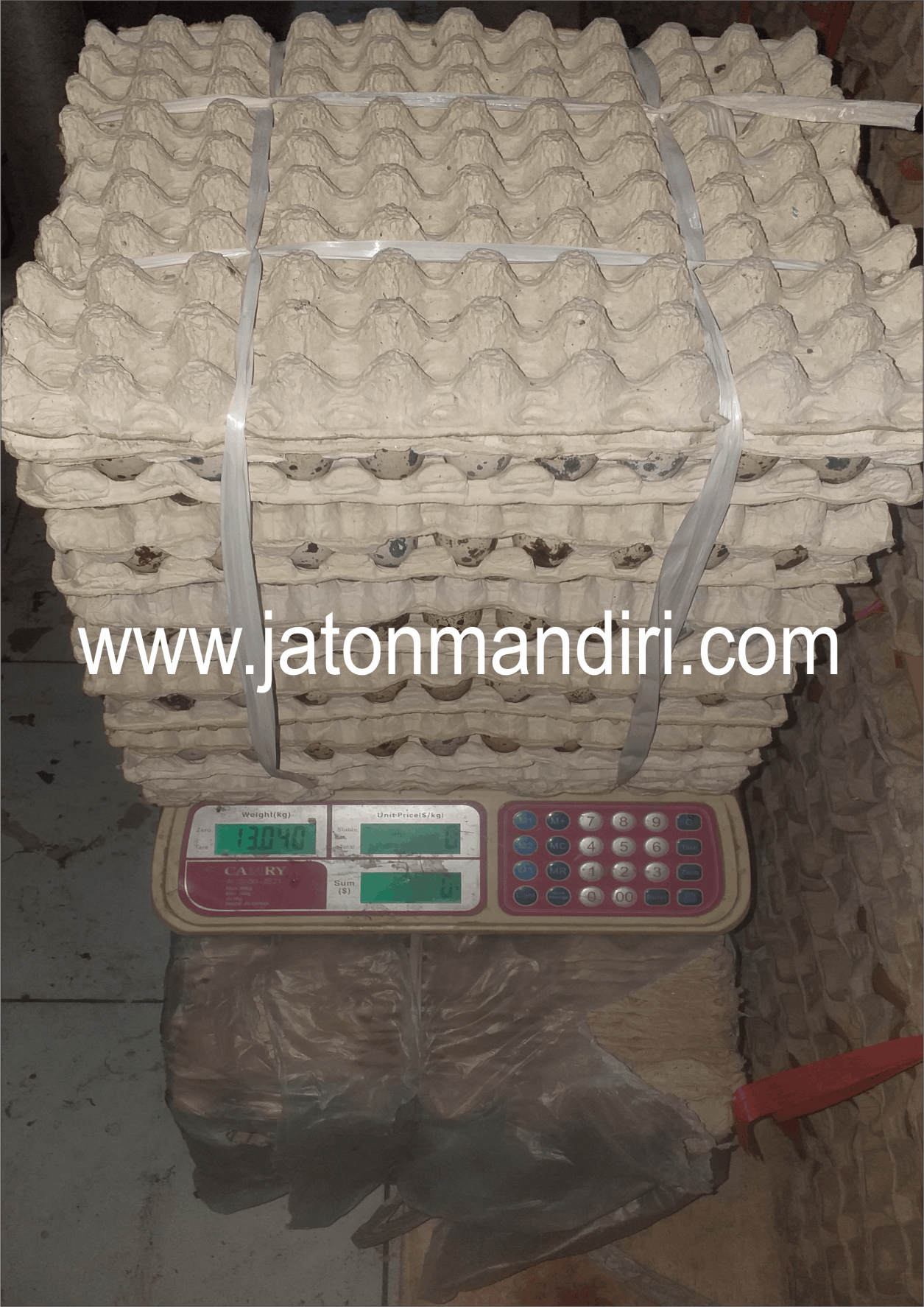 Telur Puyuh Jaton, Jaton Mandiri