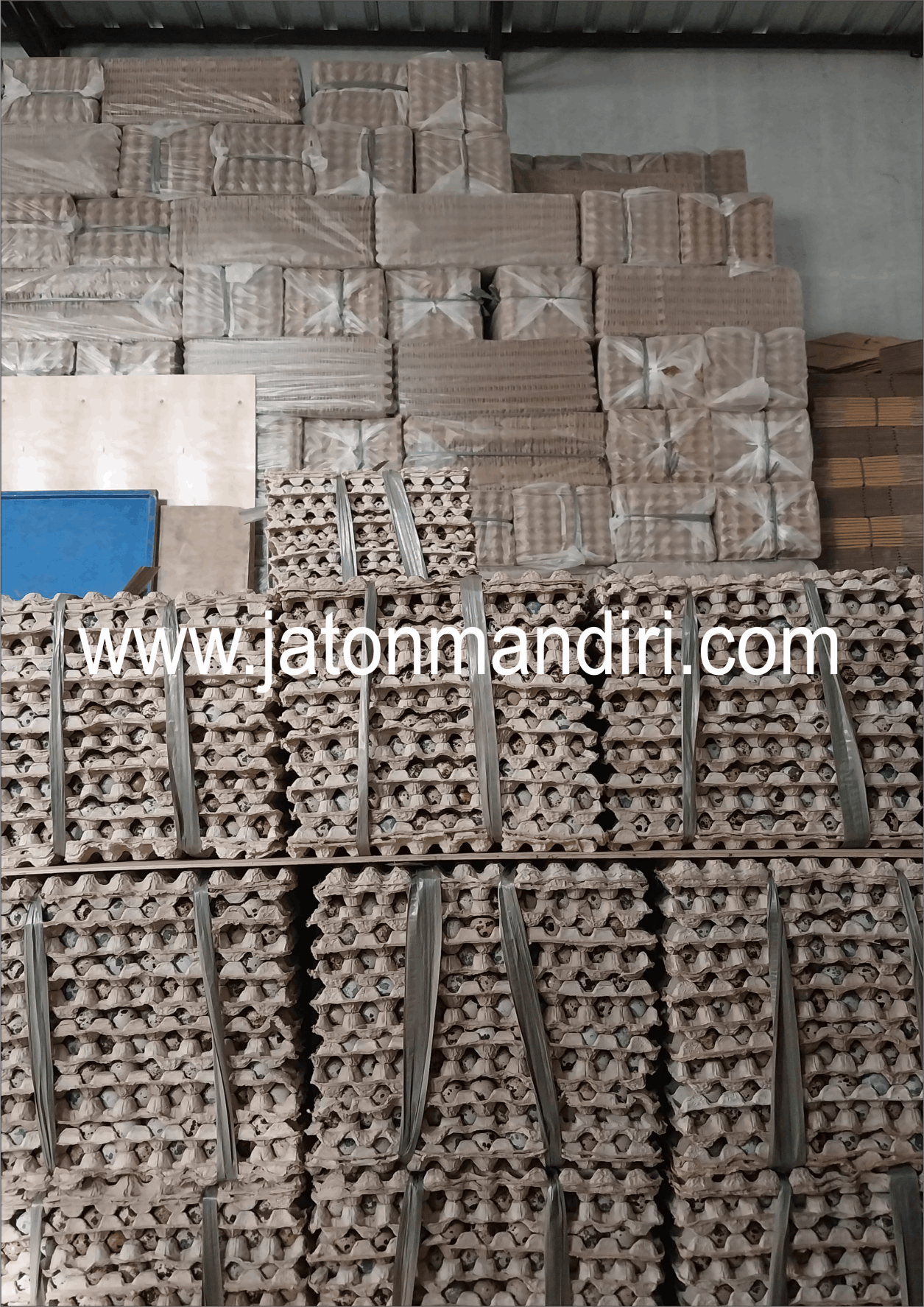 Telur Puyuh Jaton, Jaton Mandiri