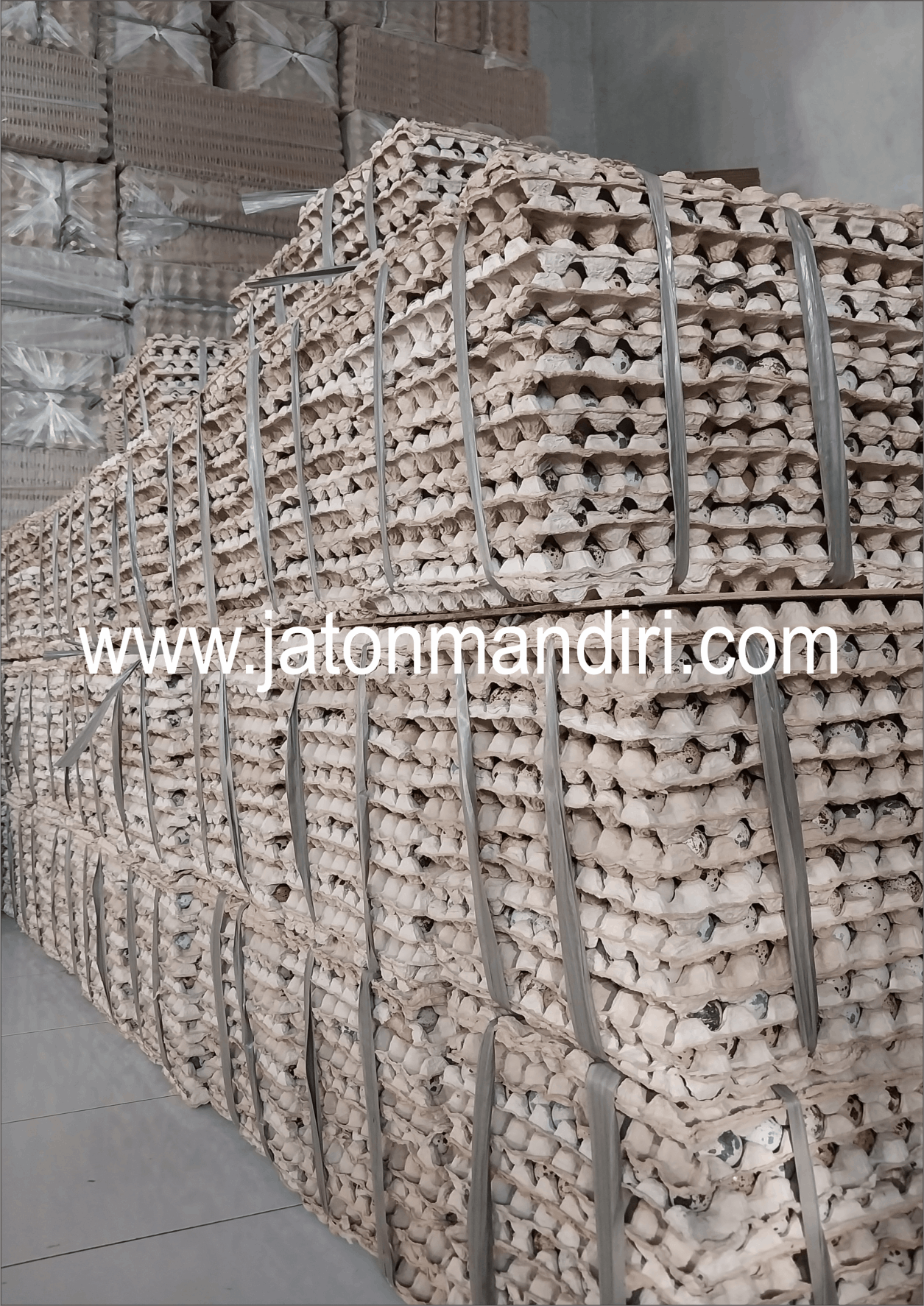 Telur Puyuh Jaton, Jaton Mandiri