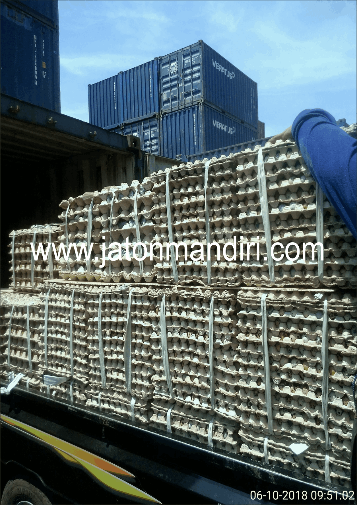 Telur Puyuh Jaton, Jaton Mandiri