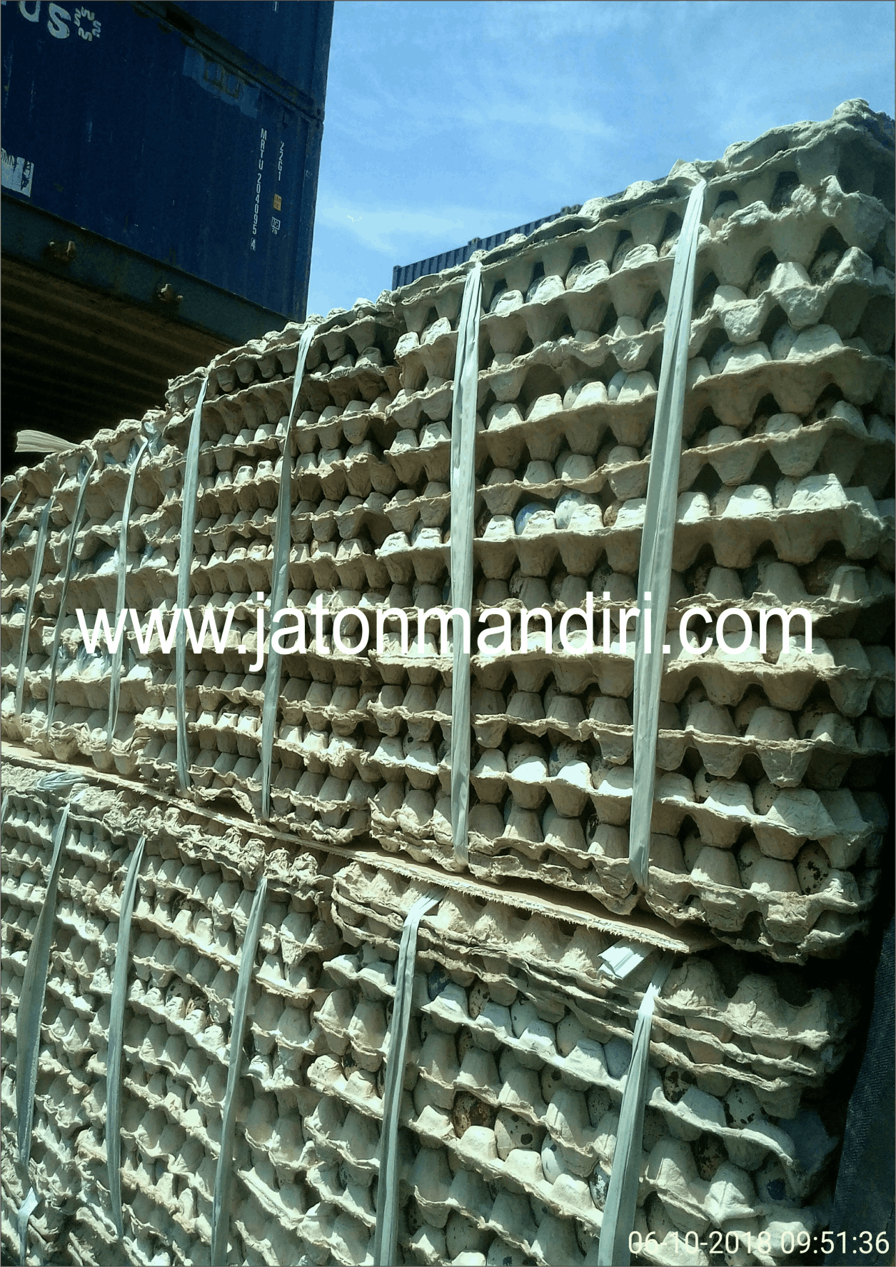 Telur Puyuh Jaton, Jaton Mandiri