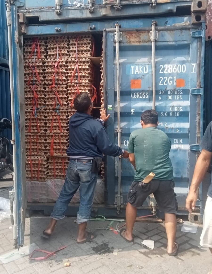 Telur Ayam Ras, Telur Kampung Omega3, Telur Puyuh, Telur Asin, Telur Bebek