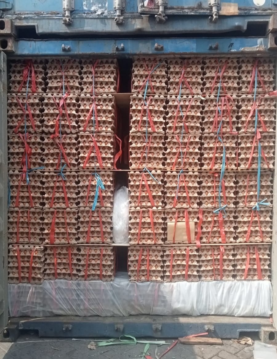 Telur Ayam Ras, Telur Kampung Omega3, Telur Puyuh, Telur Asin, Telur Bebek